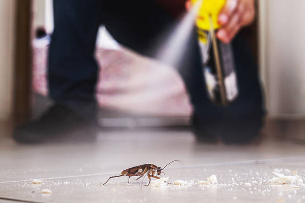  Columbia, IL Pest Control Pros